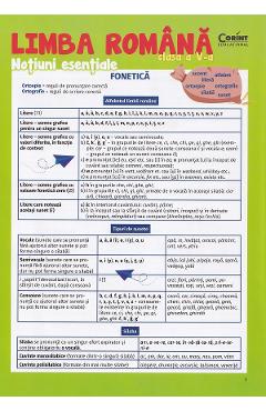 Limba romana - Clasa 5 - Notiuni esentiale - Dumitrita Stoica