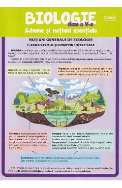 Coperta cărții 'Biologie - Clasa 5 - Scheme și noțiuni esențiale - Silvia Olteanu, Camelia Manea, Iuliana Tanur'