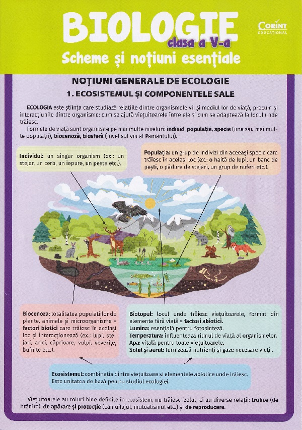 Coperta cărții 'Biologie - Clasa 5 - Scheme și noțiuni esențiale - Silvia Olteanu, Camelia Manea, Iuliana Tanur'