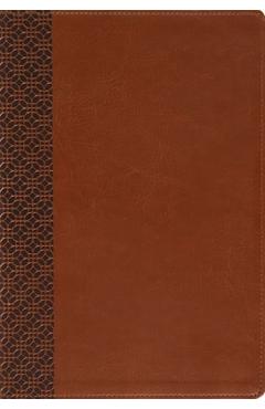 Coperta cărții 'Amplified Holy Bible, Large Print, Leathersoft, Brown: Captures the Full Meaning Behind the Original Greek and Hebrew -'