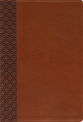 Coperta cărții 'Amplified Holy Bible, Large Print, Leathersoft, Brown: Captures the Full Meaning Behind the Original Greek and Hebrew -'