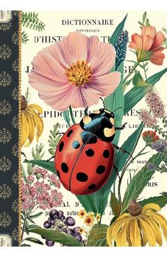Imaginea produsului 'Caiet ilustrat. Coccinelle'