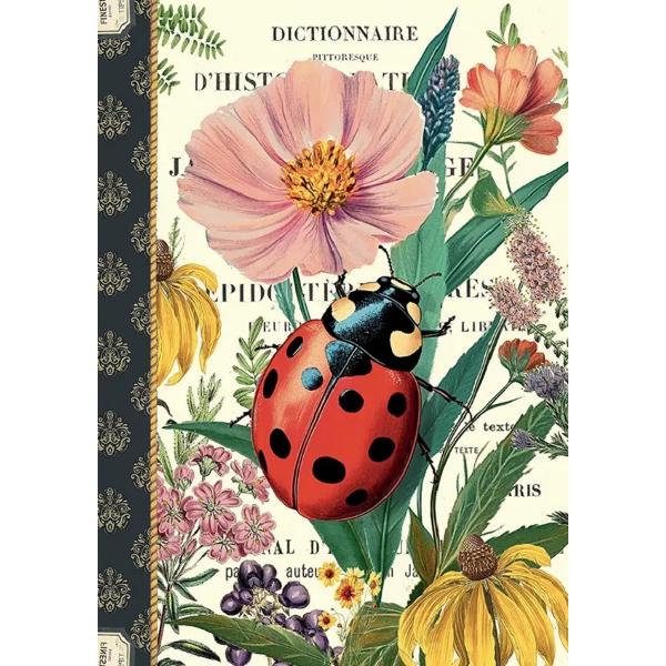 Caiet ilustrat. Coccinelle