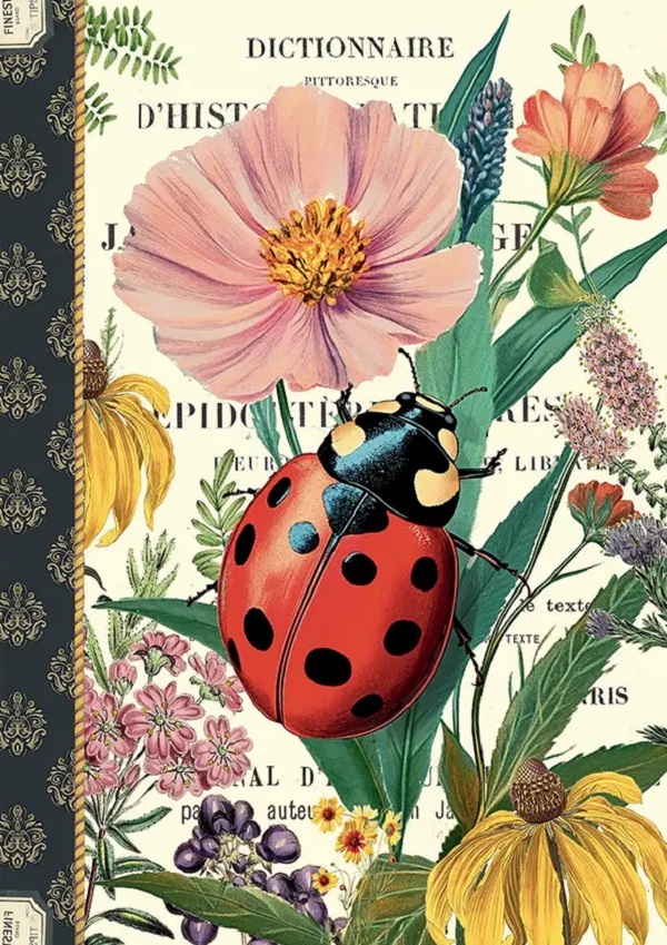 Imaginea produsului 'Caiet ilustrat. Coccinelle'