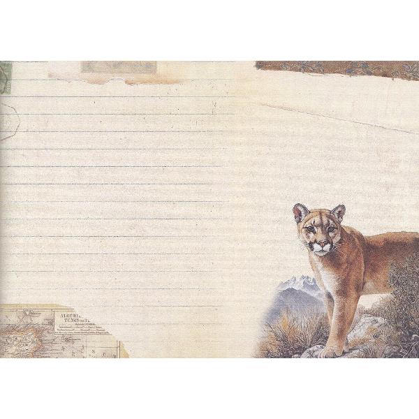 Carnet. Tigre