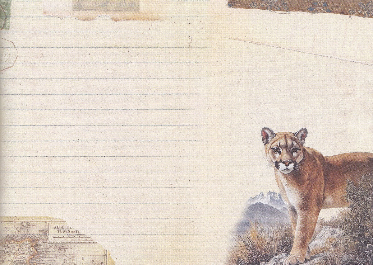 Imaginea produsului 'Carnet. Tigre'