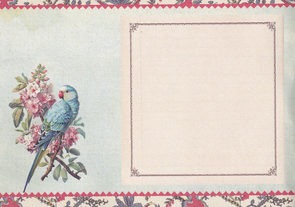 Imaginea produsului 'Carnet. Tigre'