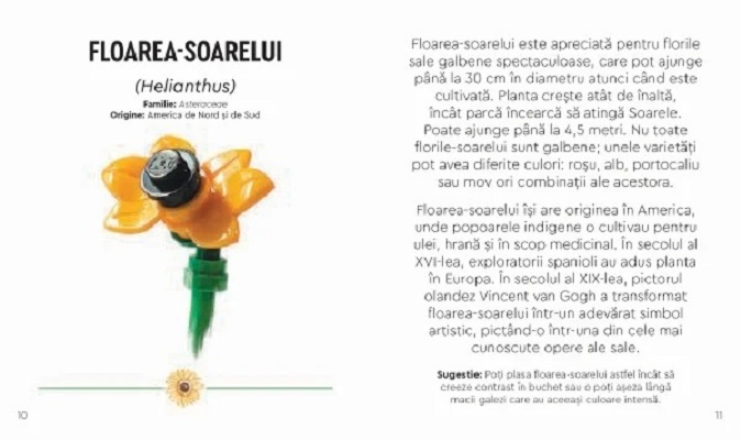 Imaginea produsului 'Lego Botanicals. Buchet de flori sălbatice'