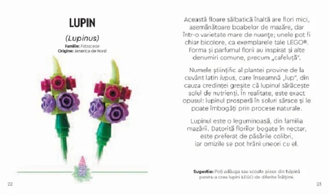 Imaginea produsului 'Lego Botanicals. Buchet de flori sălbatice'