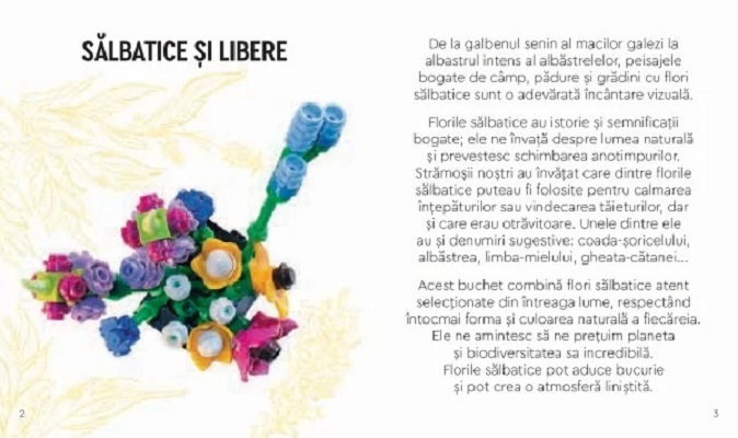 Imaginea produsului 'Lego Botanicals. Buchet de flori sălbatice'