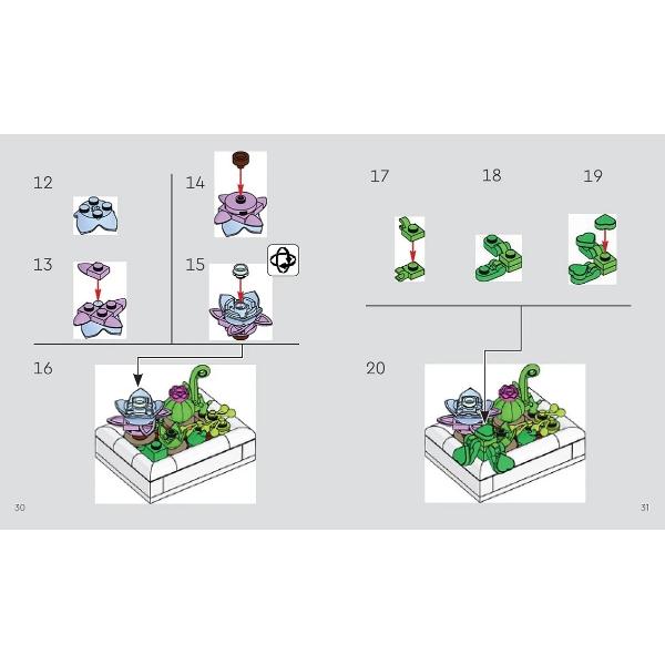 Lego Botanicals. Gradina cu plante desertice