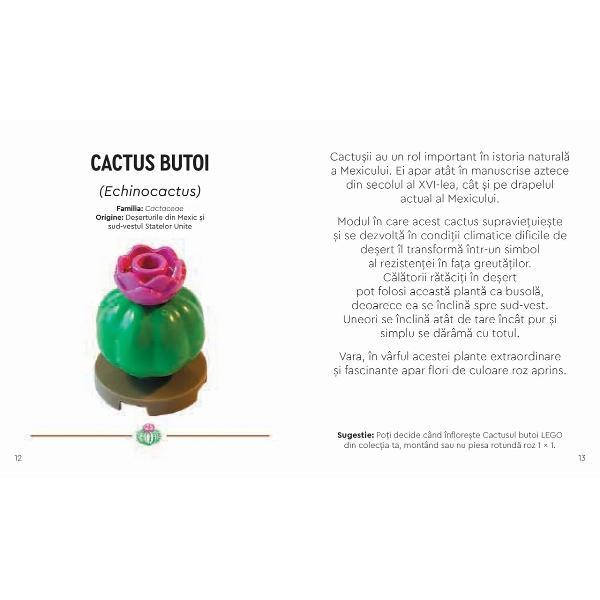 Lego Botanicals. Gradina cu plante desertice