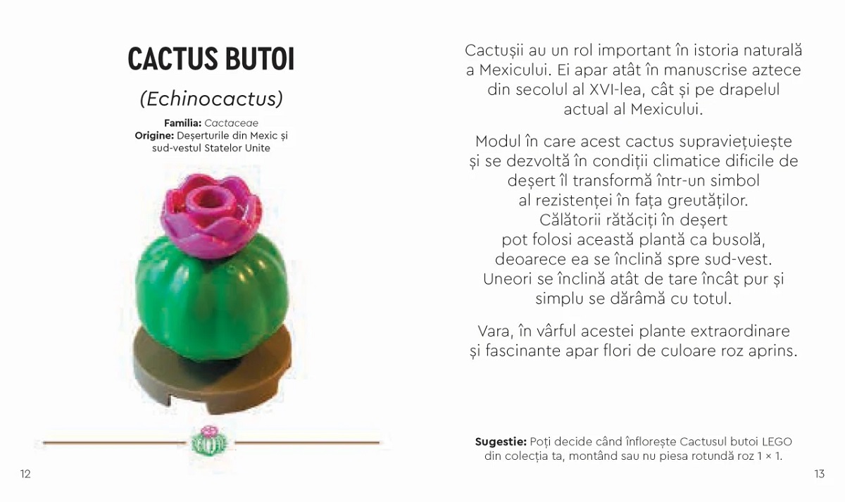 Imaginea produsului 'Lego Botanicals. Gradina cu plante deșertice'