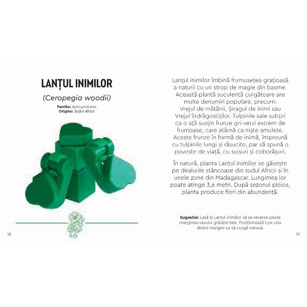 Lego Botanicals. Gradina cu plante desertice