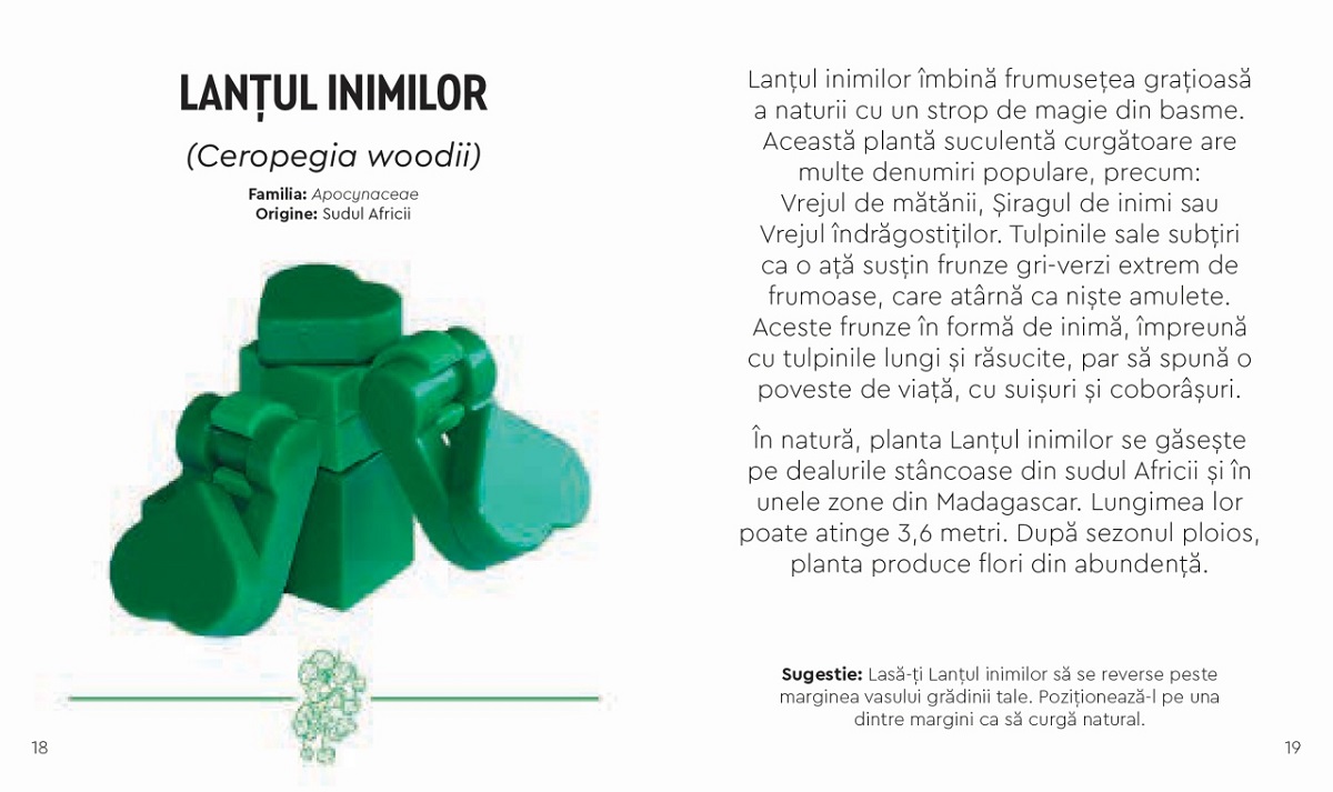 Imaginea produsului 'Lego Botanicals. Gradina cu plante deșertice'