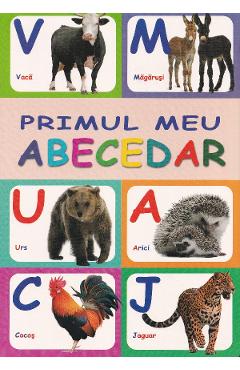 Primul meu abecedar - Titus Stirbu