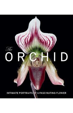 The Orchid: Intimate Portraits of a Fascinating Flower - David Berry