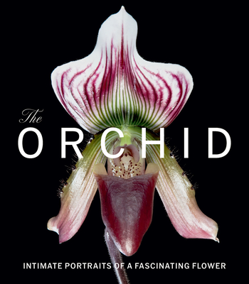 Coperta cărții 'The Orchid: Intimate Portraits of a Fascinating Flower - David Berry'