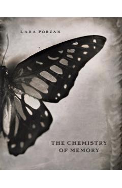 Lara Porzak: The Chemistry of Memory - Lara Porzak
