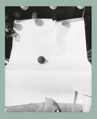 Coperta cărții 'John Gossage: An Abridged Dictionary of Sculpture - John Gossage'