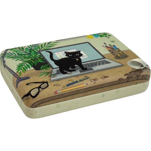 Cutie de bijuterii Bug Art. Pisica pe laptop