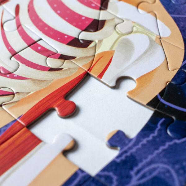 Corpul uman: Puzzle 140 piese + carte + ochelari 3D