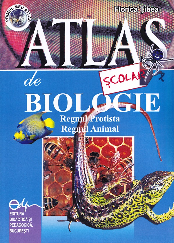 Atlas scolar de biologie. Zoologie - Florica Tibea