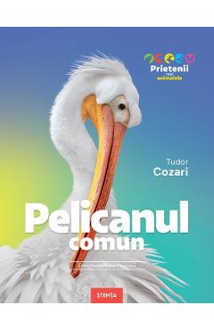 Coperta cărții 'Pelicanul comun. Enciclopedie pentru copii - Tudor Cozari'