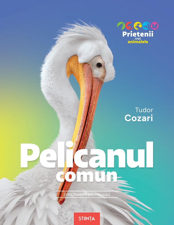 Coperta cărții 'Pelicanul comun. Enciclopedie pentru copii - Tudor Cozari'