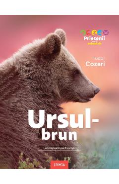 Coperta cărții 'Ursul-brun. Enciclopedie pentru copii - Tudor Cozari'