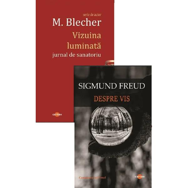 Pachet 2 carti: Inconstient si Imaginar. Vizuina luminata + Despre vis - Sigmund Freud, M. Blecher