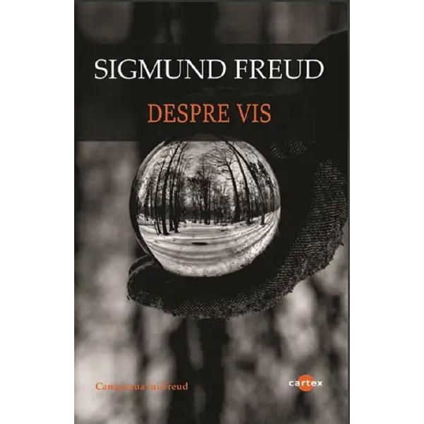 Pachet 2 carti: Inconstient si Imaginar. Vizuina luminata + Despre vis - Sigmund Freud, M. Blecher