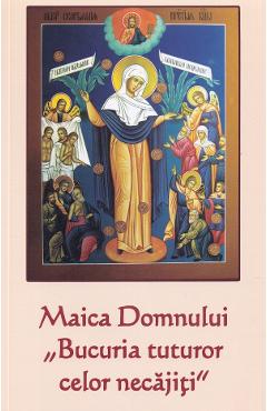 Maica Domnului, Bucuria tuturor celor necajiti