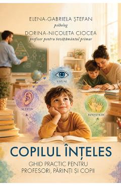 Copilul inteles. Ghid practic pentru profesori, parinti si copii - Elena-Gabriela Stefan, Dorina-Nicoleta Ciocea