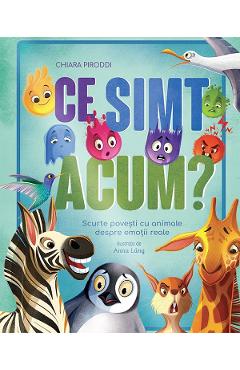 Coperta cărții 'Ce simt acum? - Chiara Piroddi'