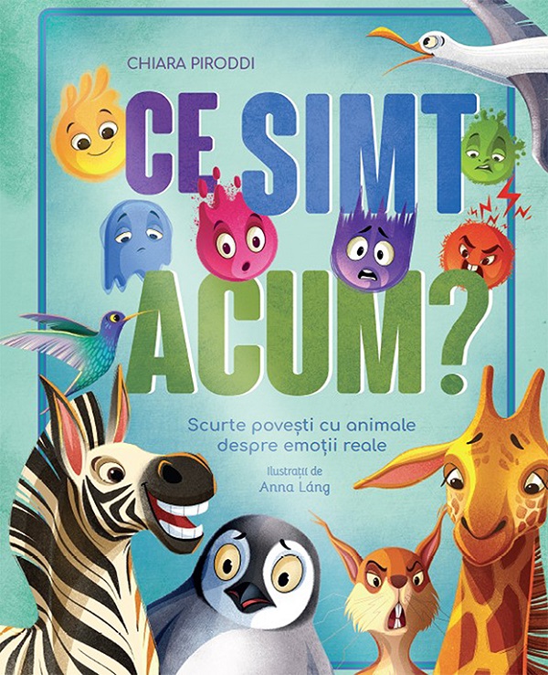 Coperta cărții 'Ce simt acum? - Chiara Piroddi'