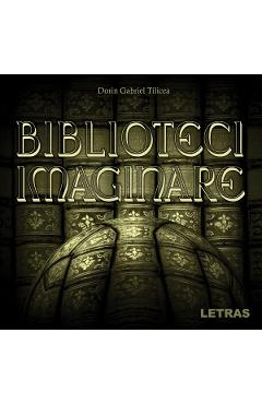 Coperta cărții 'eBook Biblioteci imaginare - Dorin Gabriel Tilicea'