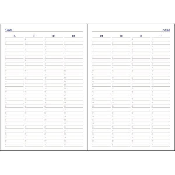 Agenda nedatata A5: Albastra. Domino Ego