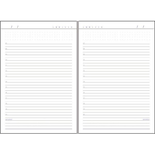 Agenda nedatata A5: Gri. Domino Ego