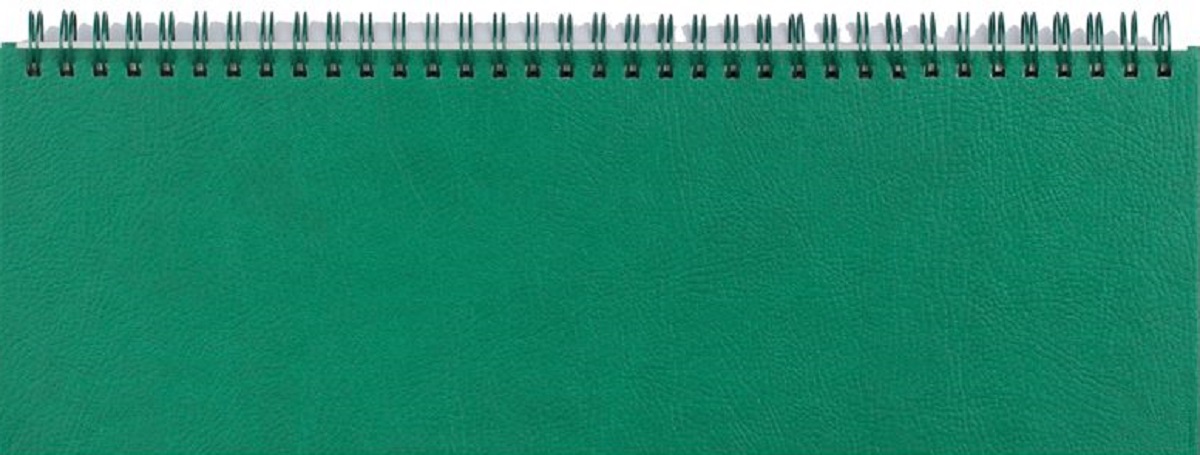 Imaginea produsului 'Planner birou 2027. Verde'