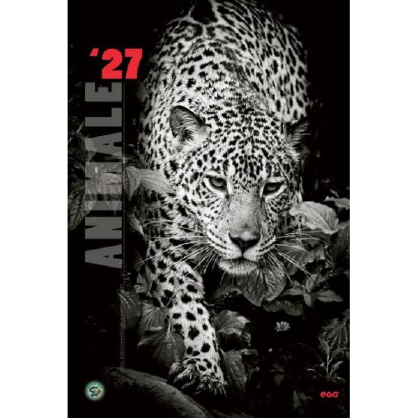 Calendar perete 2027. Animale