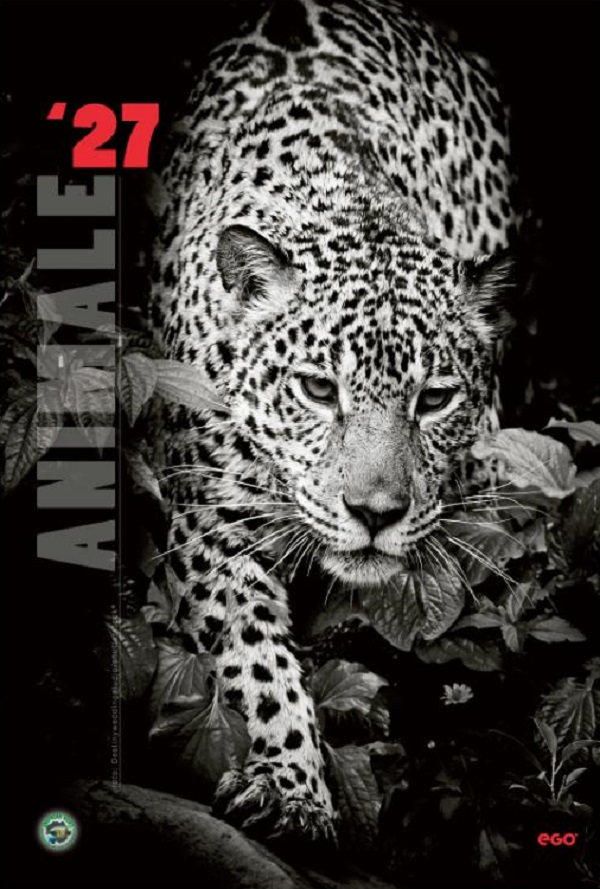Imaginea produsului 'Calendar perete 2027. Animale'