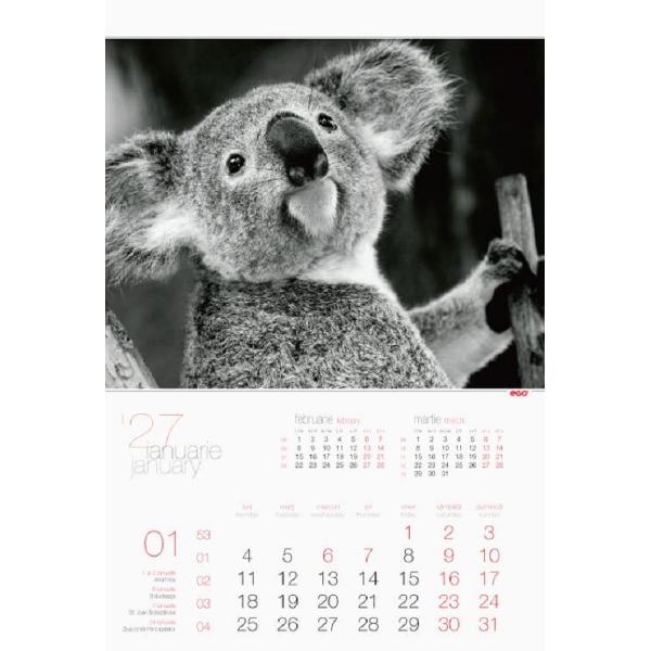 Calendar perete 2027. Animale