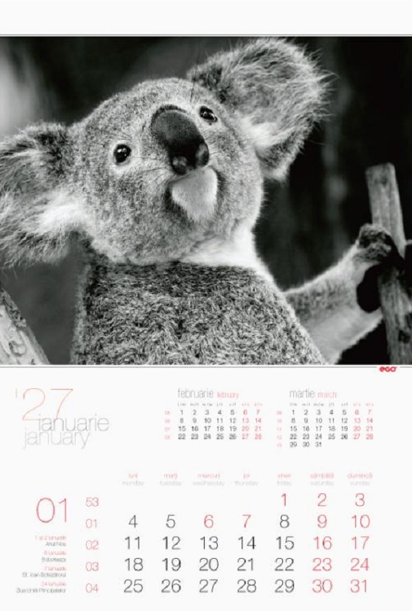 Imaginea produsului 'Calendar perete 2027. Animale'