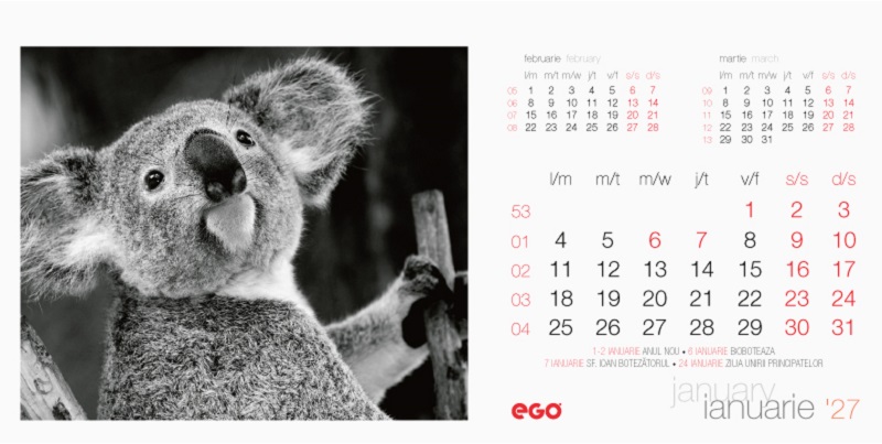 Imaginea produsului 'Calendar birou 2027: Animale'