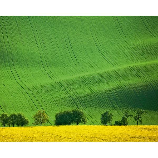 Calendar birou 2027: Green