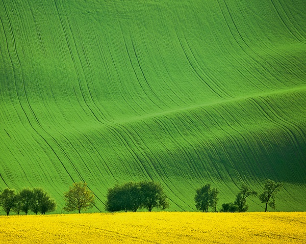 Imaginea produsului 'Calendar birou 2027: Green'