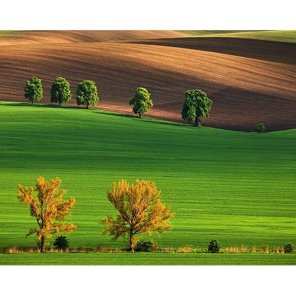 Calendar birou 2027: Green