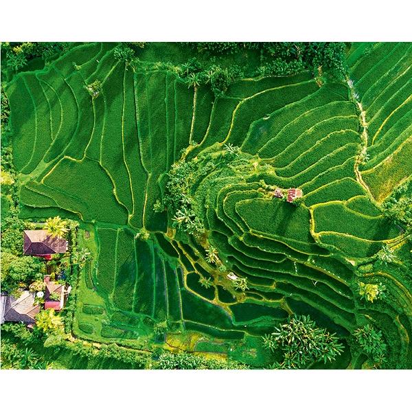 Calendar birou 2027: Green