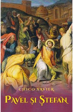 Coperta cărții 'Pavel și Ștefan - Chici Xavier'